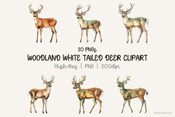 Download Woodland White Tailed Deer Clipart - Premium Resources